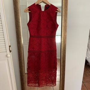 Zara Lace Midi Dress, looks like Self Portrait